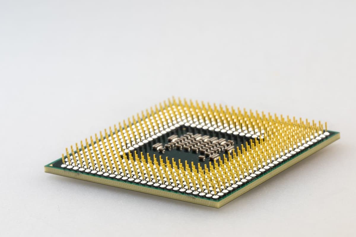Dettaglio dei contatti dorati di un processore per computer